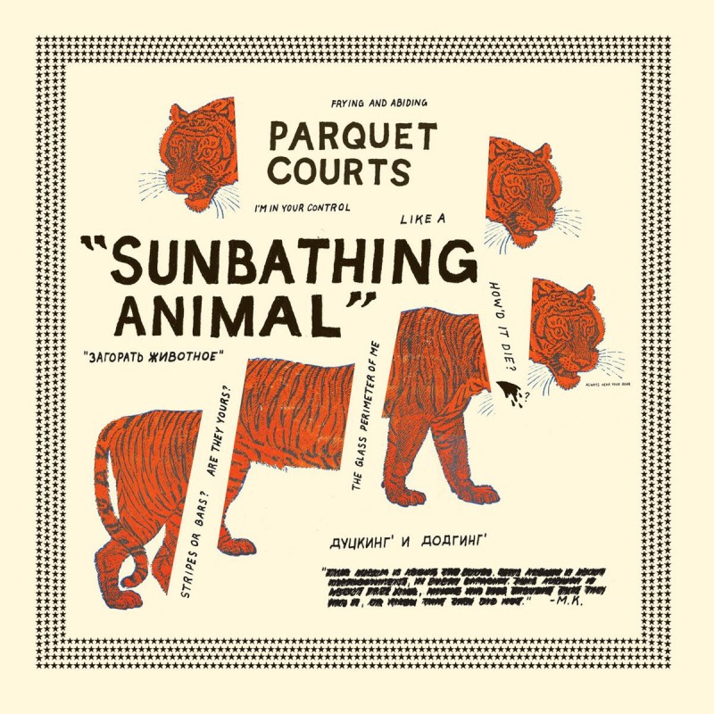 Parquet Courts - Sunbathing Animal LP (Colour Vinyl)