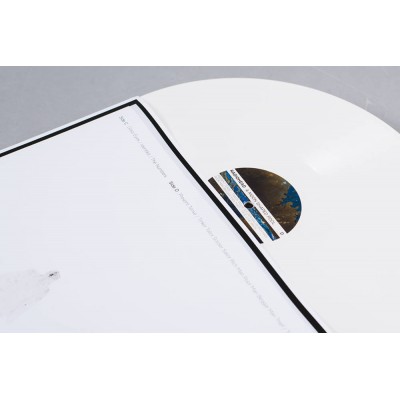 Radiohead - A Moon Shaped Pool 2xLP (Colour Vinyl)